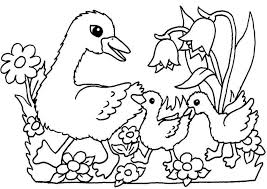 Ausmalbilder Fruhling 15 Ausmalbilder Und Malvorlagen Ausmalbilder Ausmalbilder Fruhling Ausmalen