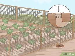 Rats can be driven out by pouring water or smoke into the burrows. 3 Simple Ways To Keep Rats Out Of A Vegetable Garden Wikihow