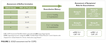 Image result for COPD Assessment Test