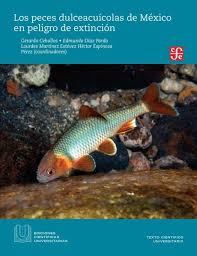There are 3730 inhabitants, it is at 1186m of altitude. Los Peces Dulceacuicolas De Mexico En Peligro De Extincion Ebook Pdf Von Gerardo Ceballos Edmundo Diaz Pardo Lourdes Martinez Estevez Hector Espinosa Perez Portofrei Bei Bucher De