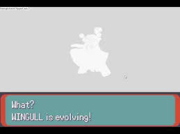 Pokemon Emerald Wingull Evolves Into Pelliper Youtube