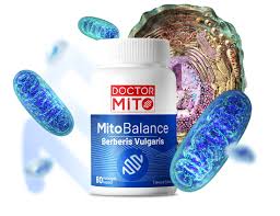 Berberis Vulgaris Tarcin Krom Vanadyum Ve Vitamin B12 Ceren Takviye Edici Gida Saglikli Kapsul Saglikli Yasam