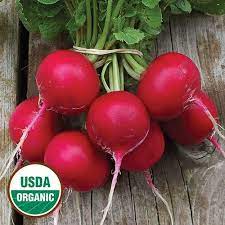 Holmes Royal Red Radish Heirloom Vegetables Organic Seeds Heirloom Seeds