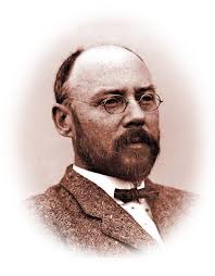 Nolinaceae Liliaceae Montiaceae by fhnavajo