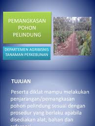 Maybe you would like to learn more about one of these? Kumpulan Soal Tanaman Perkebunan Masnurul