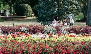 Remember to bring your camera! Must Read 13 Unmissable Things To Do In Hervey Bay Queensland