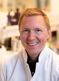 Dramatic development of immune system after birth