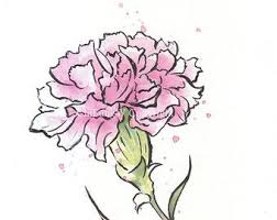 Pin On Pink Carnation Stationary Clip Art