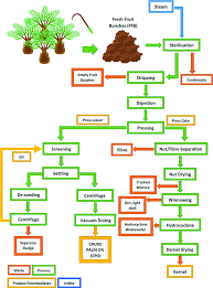 As the ponding system used to treat palm oil mill effluent (pome) frequently fails to satisfy the discharge standard in malaysia, the present study aimed to resolve this problem using an optimized electrocoagulation process. Palm Oil Milling Wastes Springerlink