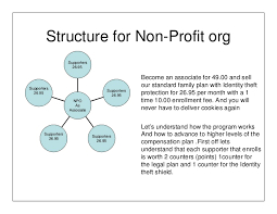 Structure For Non Profit Org