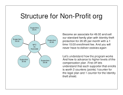 structure for non profit org