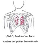 Verschiedene Arten Von Druck Auf Der Brust