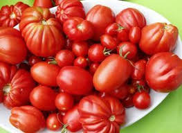 Mein Schones Land Saisonale Rezepte Gartentipps Kreativideen Idyllische Regionen Und Vieles Mehr Entdecken Sie Mit Uns Die Schonsten Seiten Des Landleben Tomaten Sugo Tomaten Rezepte Einkochen Sugo