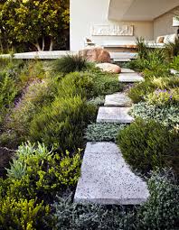 A Garden With Fynbos Plants Location Cape Town South Africa Designer David Kelly Of Rees Roberts Partne Modern Landscaping Sloped Garden Landscape Design