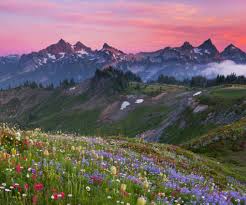 Maybe you would like to learn more about one of these? Nature And Sunset Image 7055518 On Favim Com