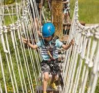 Aerial Ropes Course - Jackson Hole Mountain Resort