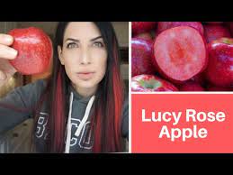 Continuous color lasts all season long. Tasting Lucy Rose Apple Youtube