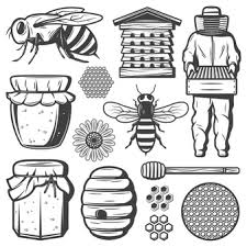 Check spelling or type a new query. Beehive Images Free Vectors Stock Photos Psd