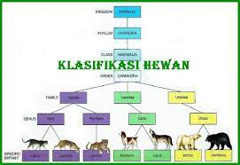 We did not find results for: Klasifikasi Hewan Dari Kingdom Sampai Spesies Kingdom Animalia