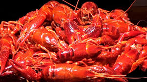 Lo primero que hacemos es poner en una cazuela con aceite los cangrejos bien lavados. Cangrejos De Rio Con Salsa De Tomate Crayfish In A Tomato Sauce Youtube