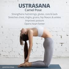 Ustra means camel in sanskrit, and this pose resembles a camel. Pin On Yoga