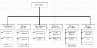 Police Organization Chart The Precinct Identity