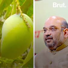 Amit Shah, The New Mango In Town