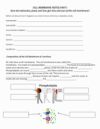 Cell Membrane Coloring Sheet