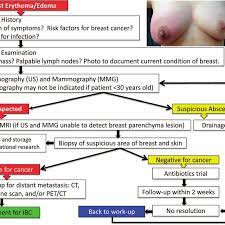 These include your blood pressure, heart rate and metab. Workup For Inflammatory Breast Cancer Download Scientific Diagram