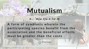 If enough people are resistant to the cause of a disease, such as a virus. Mutualism Definition And Examples Biology Online Dictionary