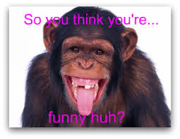 Search, discover and share your favorite funny monkey gifs. Funny Monkey Jokes