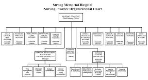 Healthcare Organization Structural Analysis N415son03