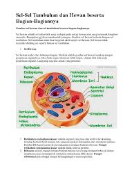 We did not find results for: Rafli 2