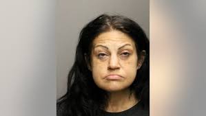 Chicago woman charged with stealing large amounts of merchandise from  several retail stores