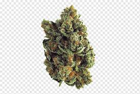 Cannabisbecher Kush Medical Cannabis Joint Cannabis 420 Tage Bong Cannabidiol Png Pngwing The pnghut database contains over 10 million handpicked free to download transparent png images. pngwing