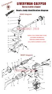 Wahl beard trimmer parts diagram; 33 Wahl Trimmer Parts Diagram Wiring Diagram Ideas