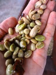 We did not find results for: Small Coffee Pulper Huller Machine Manual Cocoa Bean Shelling Pulping Extractor Zf Extractor Extractor Machines Aliexpress