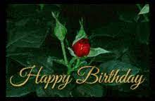 We did not find results for: Birthday Flowers Gifs Tenor