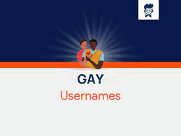 625+ Catchy Gay Usernames Ideas With Generator - BrandBoy