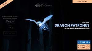 Wizarding World Account Reset To To Retake House And Patronus Quizzes Youtube