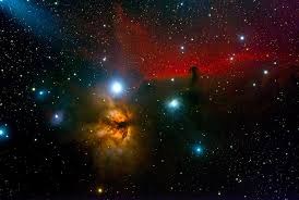 Image result for Searsia nebulosa