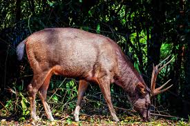 I even managed to hold this one! Pak Chong Khao Yai National Park Traveltoasiaandback Com
