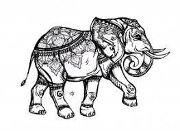 Mandala elefant malbuch fur erwachsene. Mandala Elefant Malbuch Fur Erwachsene
