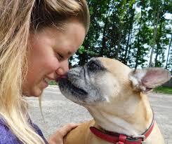 We want to give a shout out to all of our Scootie's families. 🐾THANK YOU🐾  Thank you for being a part of our pack and having your fur-babies vacation  and have play