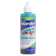 Quick Cure Ick And Parasite Treatment By Mardel Southern