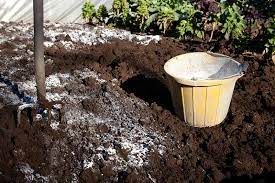 Check spelling or type a new query. How To Use Eggshells In The Garden Gardener S Path