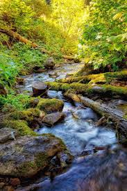 Hd Nature Phone Wallpapers Top Free Hd Nature Phone Backgrounds Wallpaperaccess Download all nature wallpapers for free and use them for your desktop or smartphone screen. hd nature phone wallpapers top free