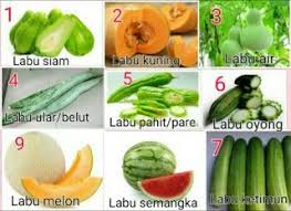 Khasiat labu untuk bayi sangat banyak antaranya mengurangkan sembelit bayi. Mengenal Berbagai Jenis Komuniti Penduduk Labu Besar Facebook