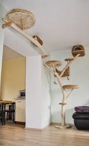 Whether you build your own or buy one, your cat will be definitely happy. 310 For Cats Ideas In 2021 Cats Cat Diy Cat Room