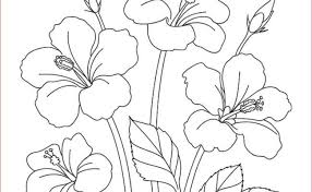 Mewarnai.my.id ~ bunga matahari yang memiliki nama latin helianthus annus l merupakan bunga yang sangat digemari oleh hamster dan sering … Cara Menggambar Dan Mewarnai Taman Bunga Ide Kreatif Cute766